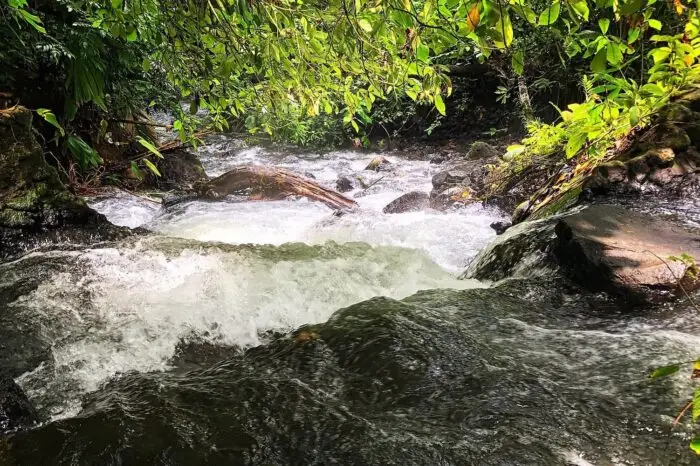 Forets du Costa Rica et Samara 11 nuits
