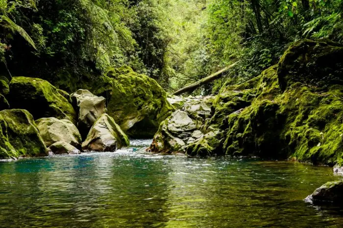 L&rsquo;essentiel du Costa Rica, Monteverde et Rincón de la Vieja 11 nuits