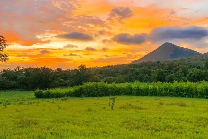 L&rsquo;essentiel du Costa Rica et Tambor 11 nuits