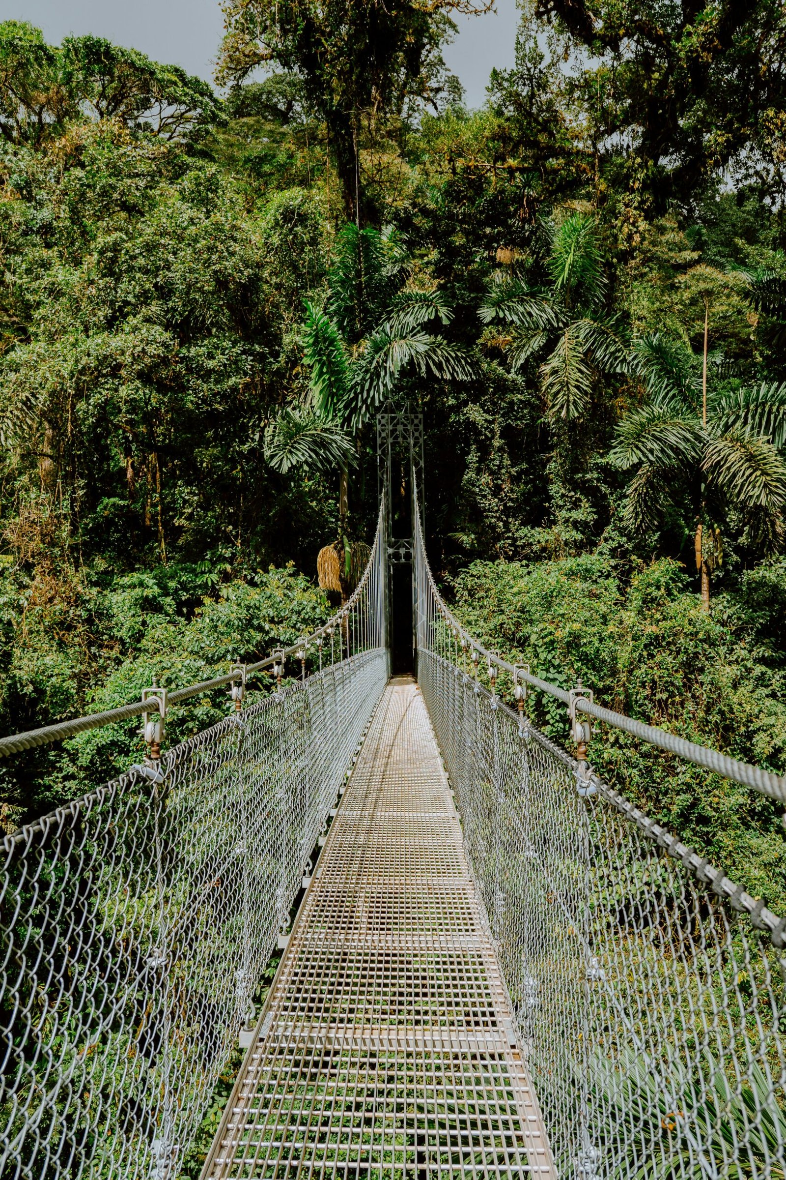 Monteverde — l'appel de la forêt mystique