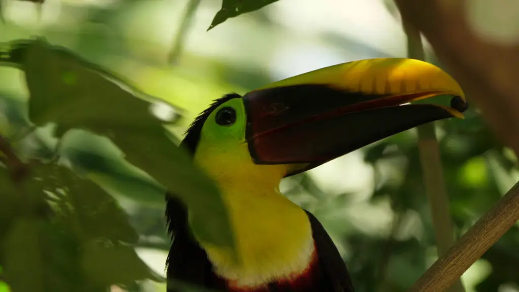 Nicaragua secret : 7 expériences que peu de voyageurs vivent