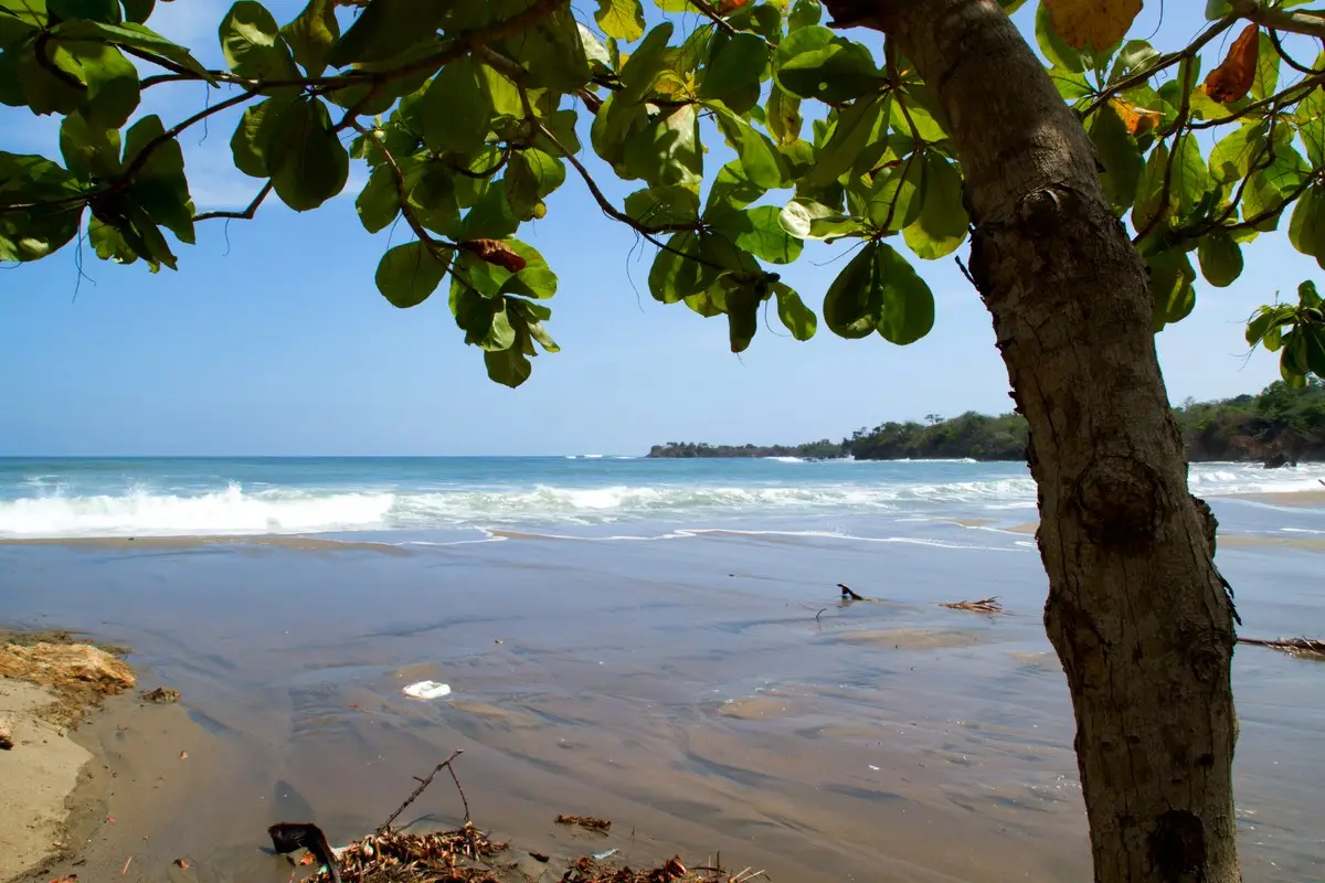Plage du Pacifique panaméen, au-delà de l'observation des baleines