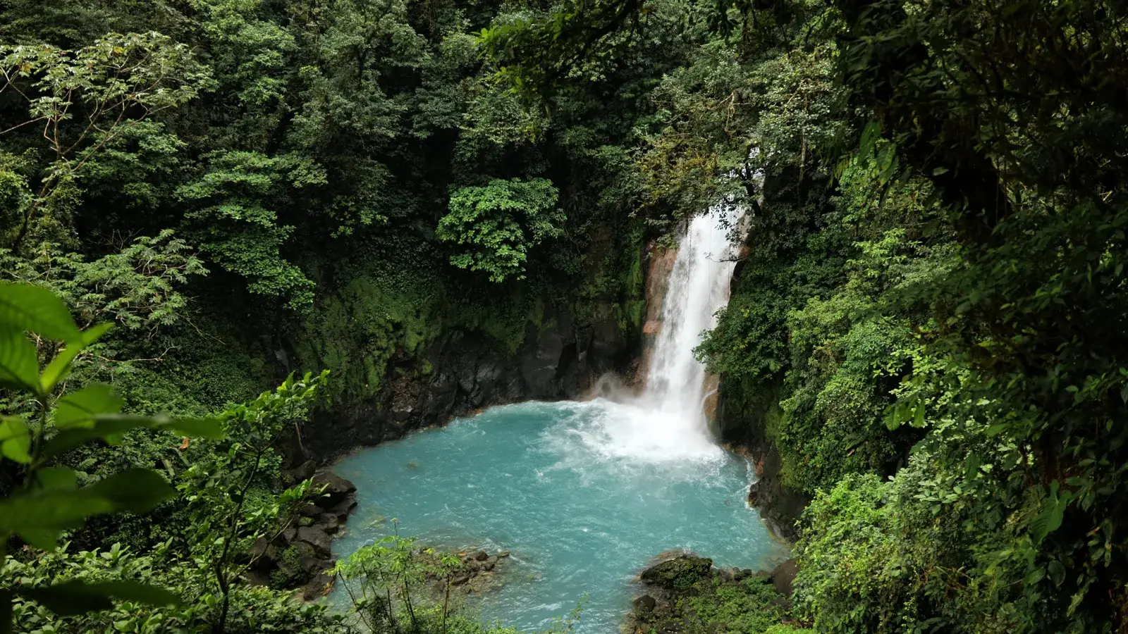 Cascade turquoise du Río Celeste dans la forêt tropicale, Costa Rica