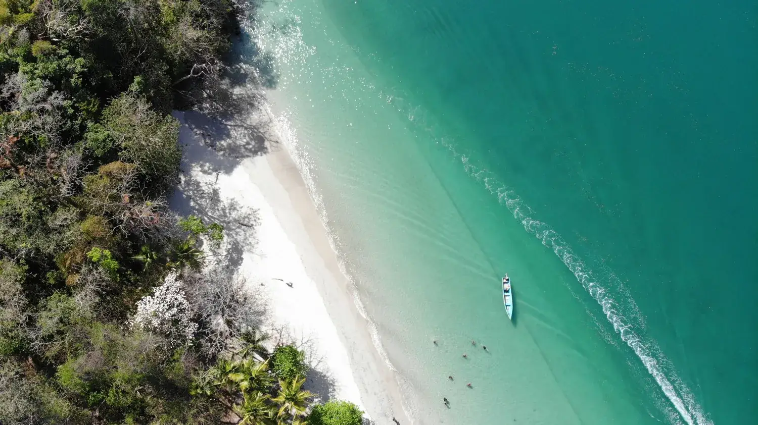 Plage turquoise de Bocas del Toro au Panama