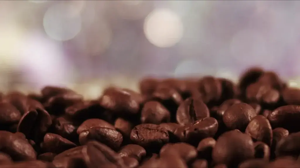 Le café du Costa Rica : régions, histoire et où le déguster