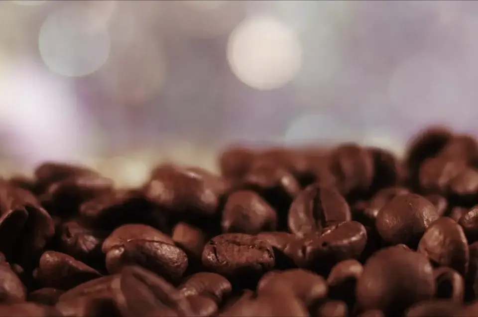 Grains de café Arabica torréfiés, prêts à être dégustés