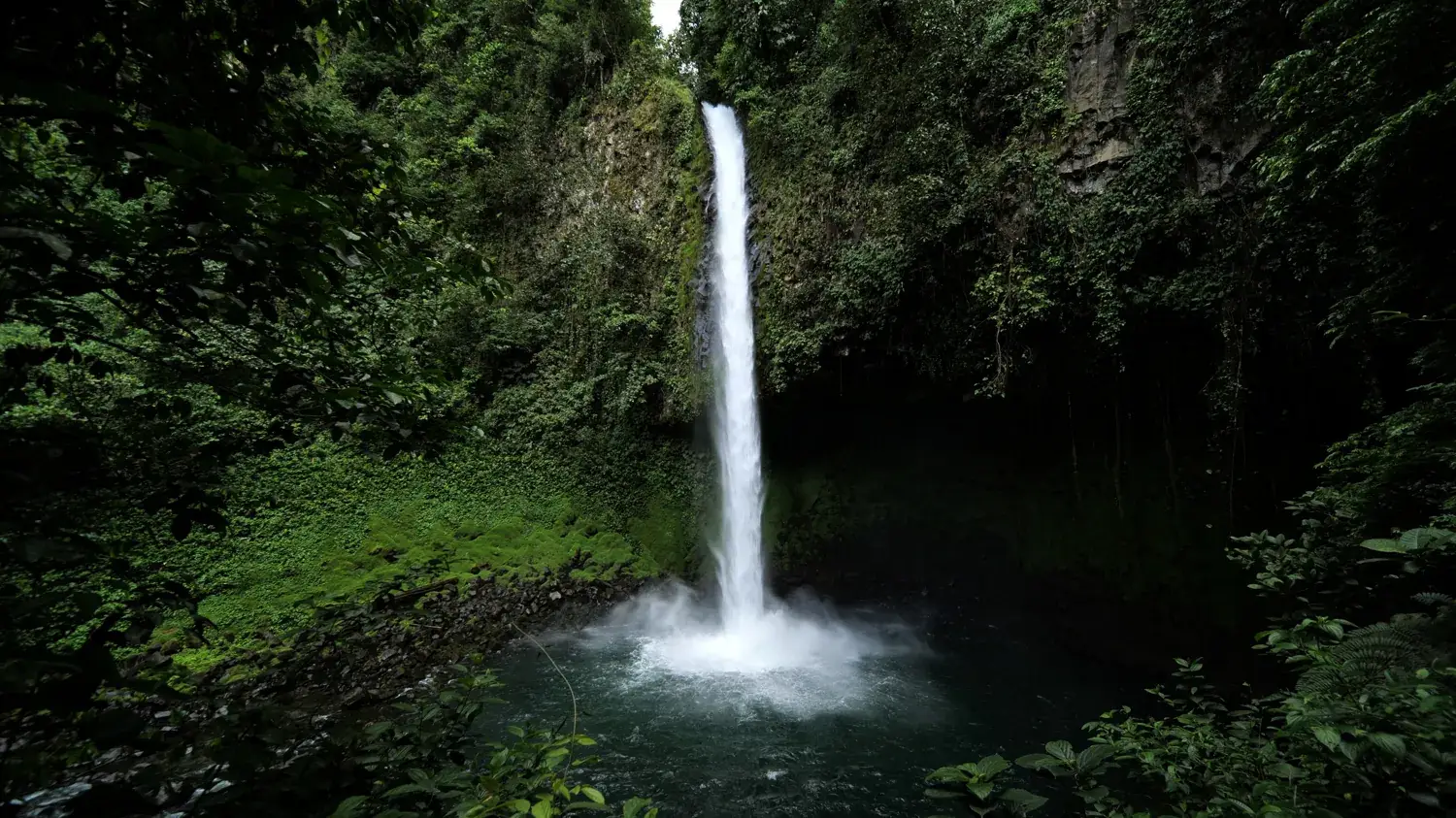 Cascade de La Fortuna tombant dans un bassin au milieu de la jungle, Arenal, Costa Rica