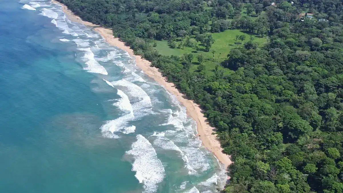 Côte caraïbe sauvage près de Manzanillo, région abordable pour un voyage au Costa Rica pas cher