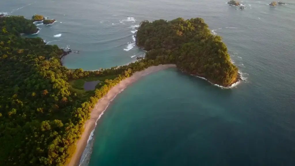 Guide de Manuel Antonio : parc national, plages et conseils pratiques