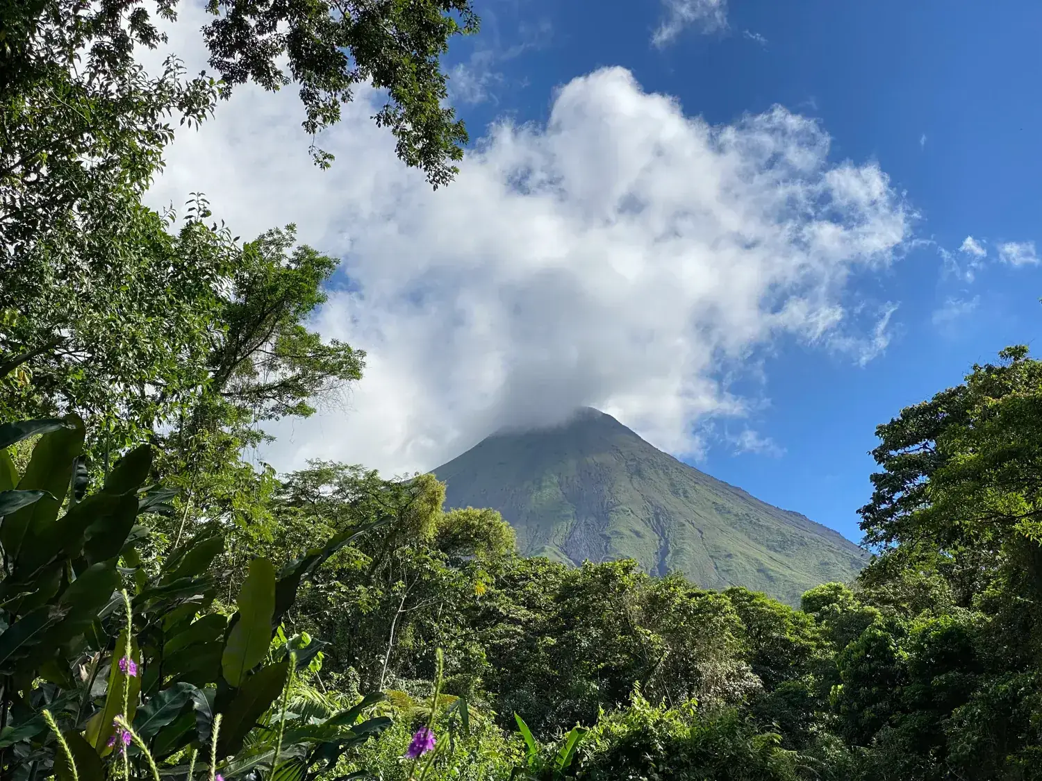 Volcan Arenal vu depuis la jungle, région de La Fortuna, Costa Rica