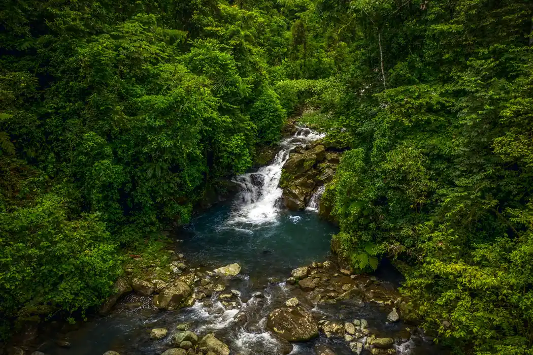 Cascade dans la foret tropicale de la province de Limon, cote caraibe du Costa Rica