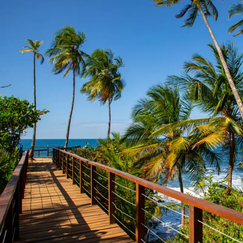 Sentier en bois borde de cocotiers au-dessus de la mer sur la cote caraibe du Costa Rica