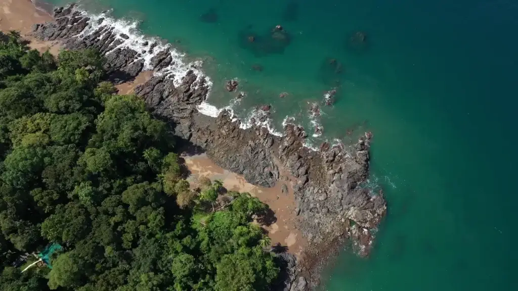 Corcovado au Costa Rica : le guide du parc le plus sauvage du pays