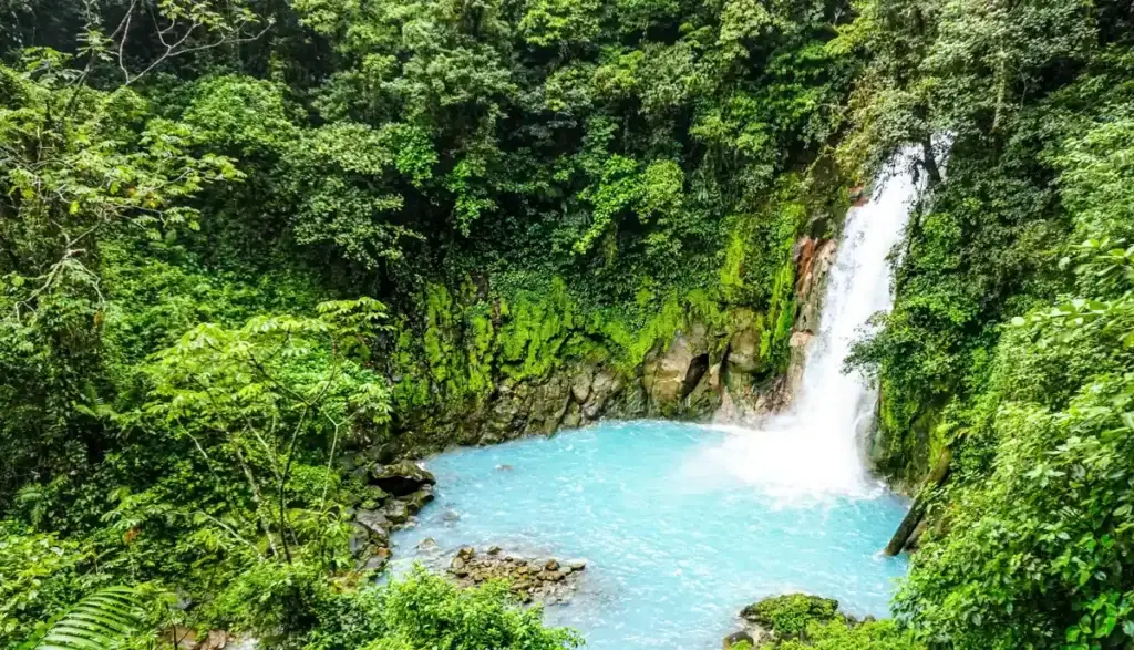 Río Celeste au Costa Rica : le guide complet du parc du Volcán Tenorio