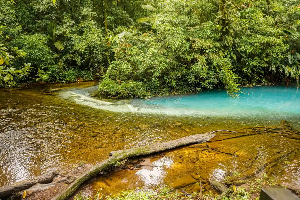 Les Teñideros du Río Celeste au Costa Rica, où l'eau claire devient turquoise