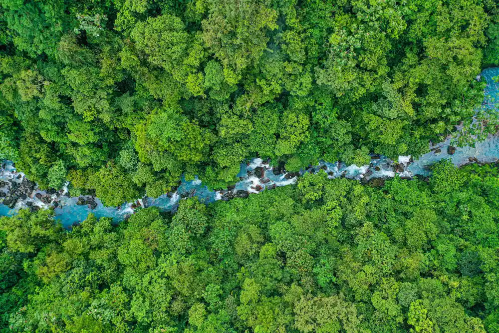 Vue aérienne du Río Celeste traversant la forêt du parc national du Volcán Tenorio