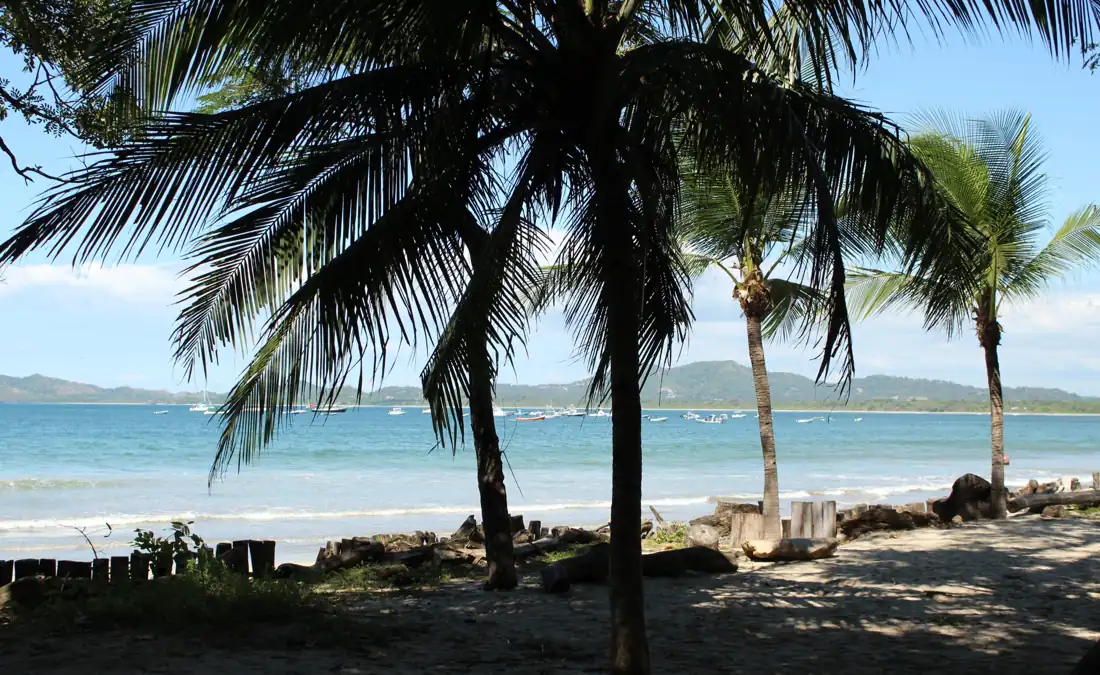 Plage de Tamarindo au Costa Rica vue sous les cocotiers, avec la baie et les bateaux au mouillage